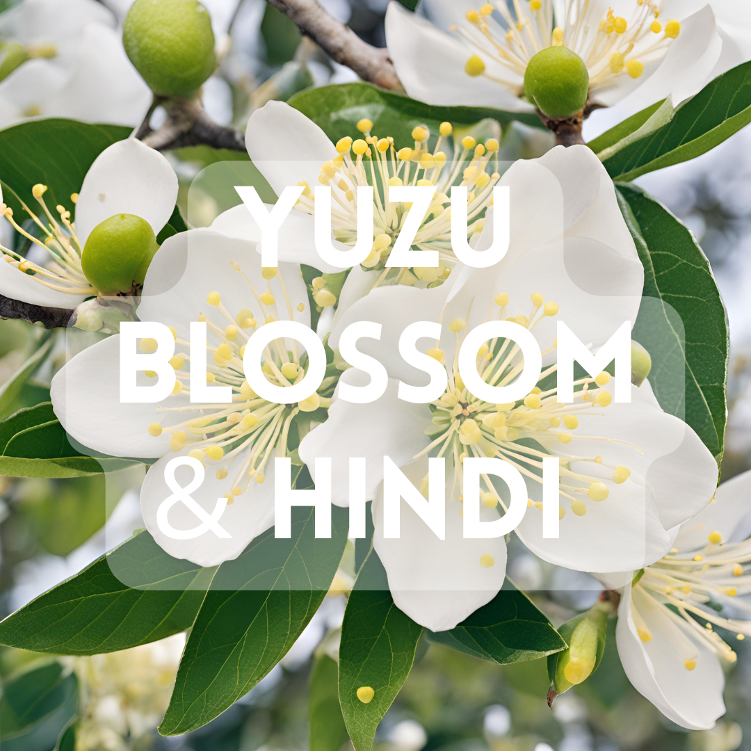 Yuzu Blossom & Hinoki - Premium Fragrance Oil