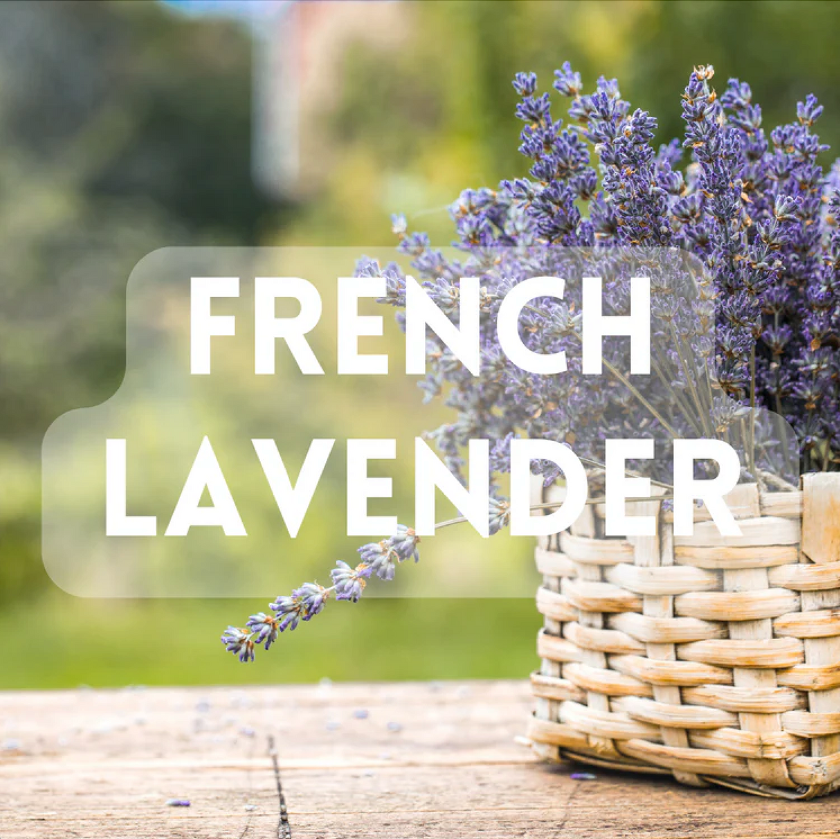 Lavender Love Fragrance Sample Pack