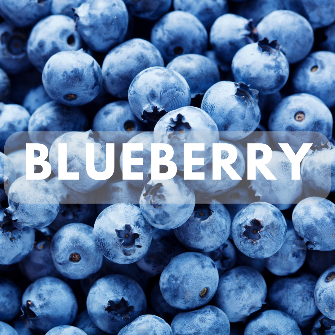 Blueberry - Premium Fragrance Oil