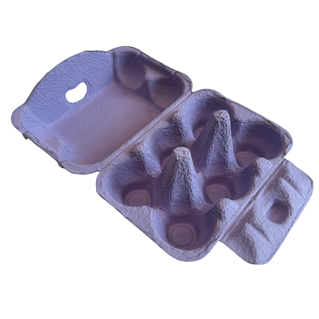 Easter Purple Egg Carton Pack