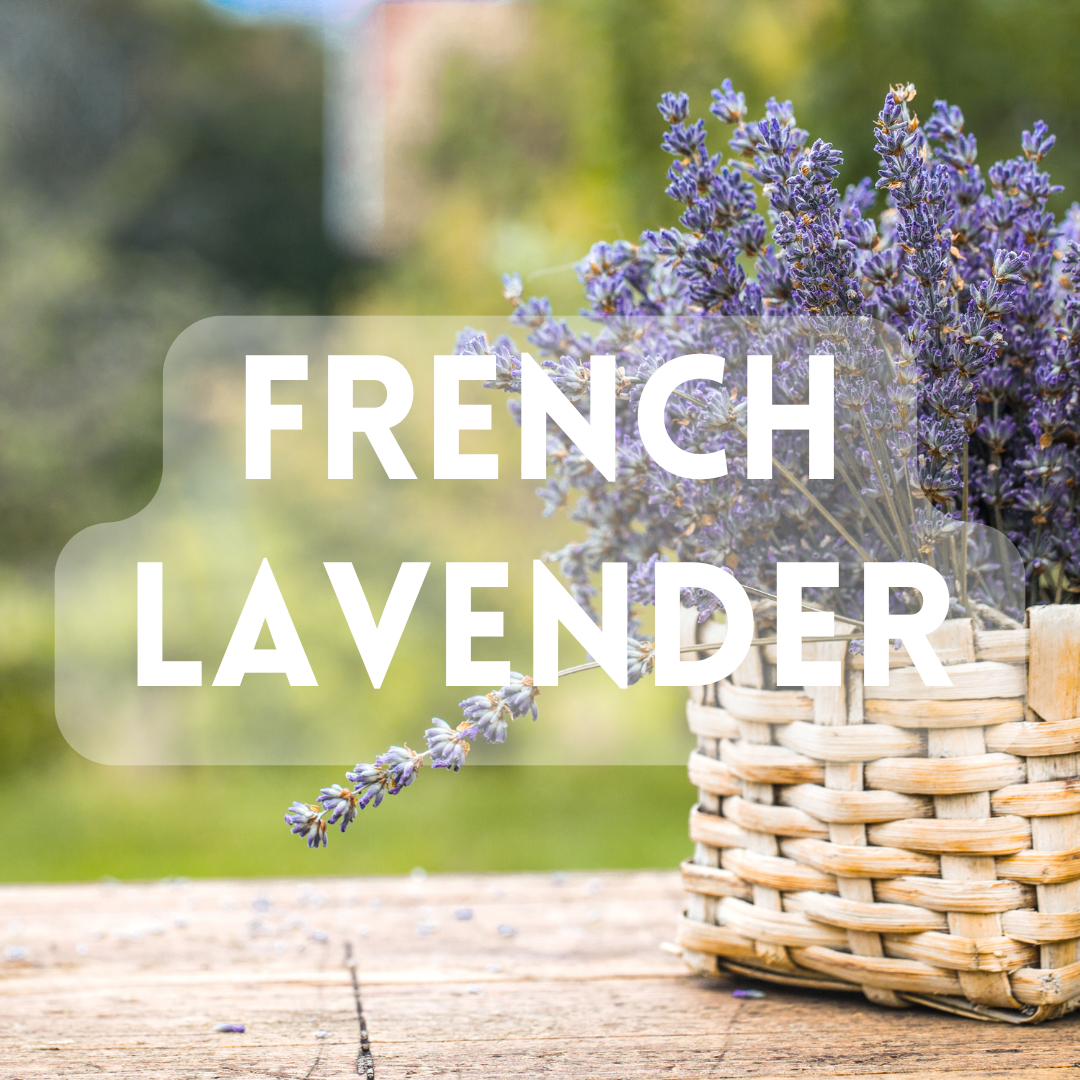 French Lavender - Premium Fragrance Oil