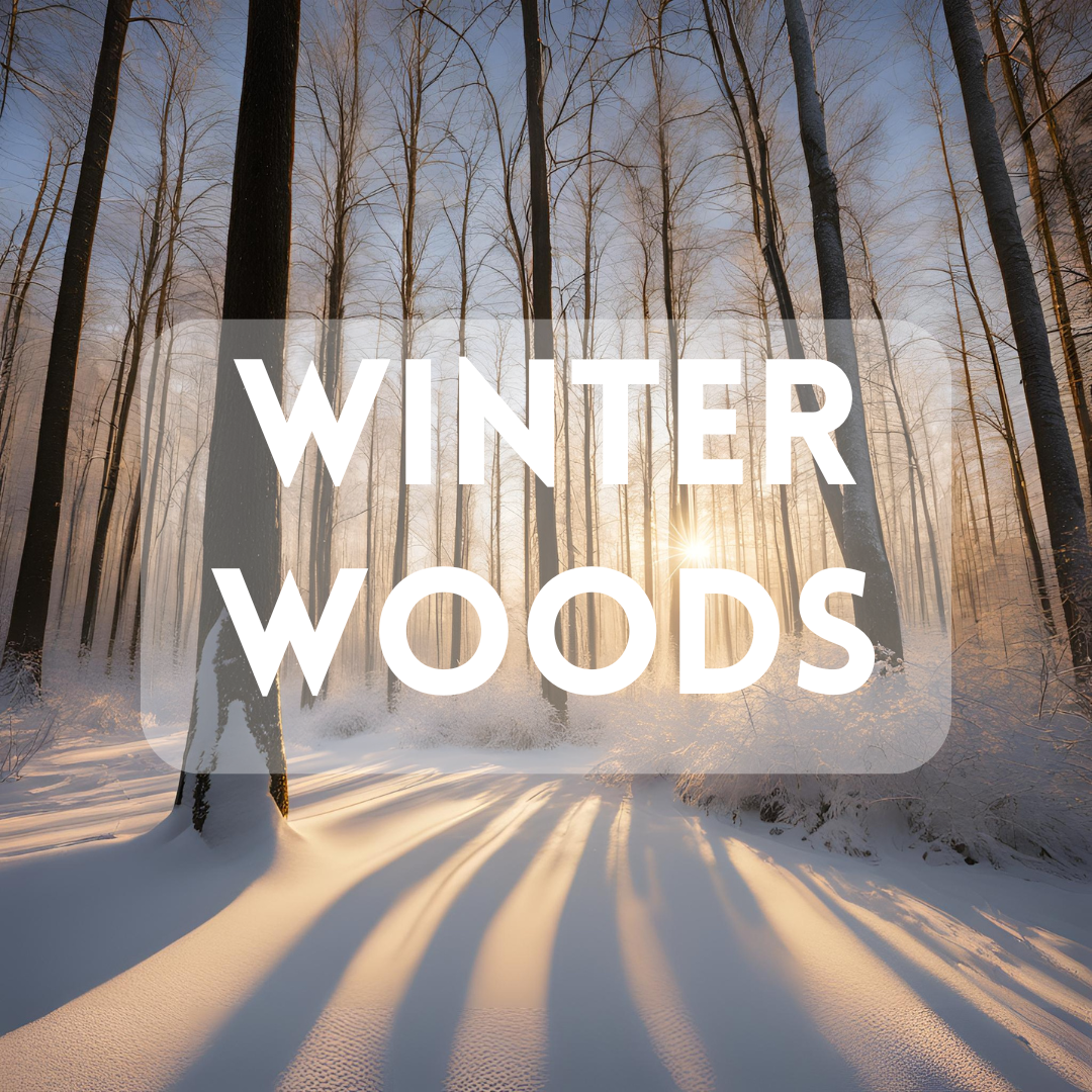 Winter Woods (BBW Dupe) - Premium Fragrance Oil