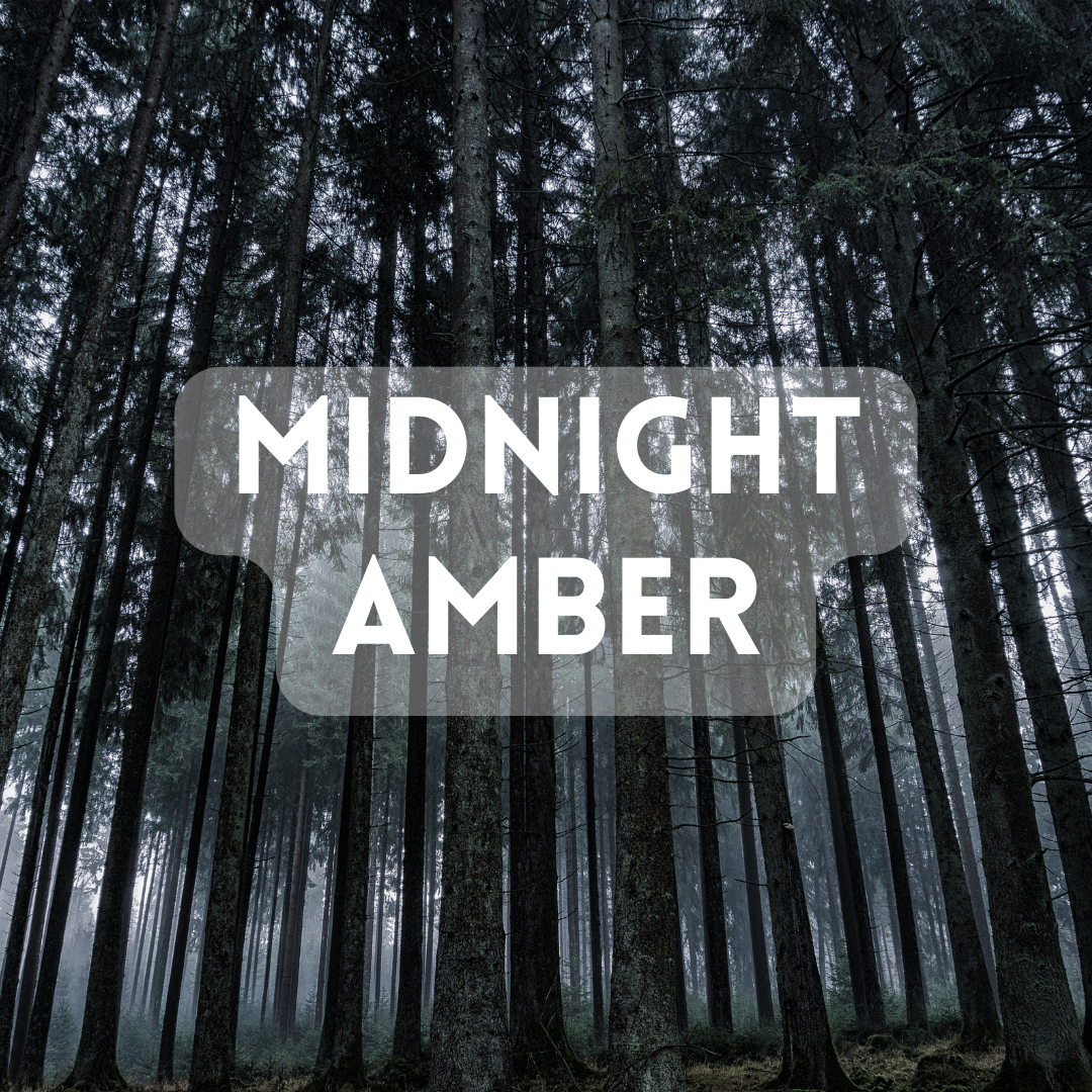 Midnight Amber - Premium Fragrance Oil