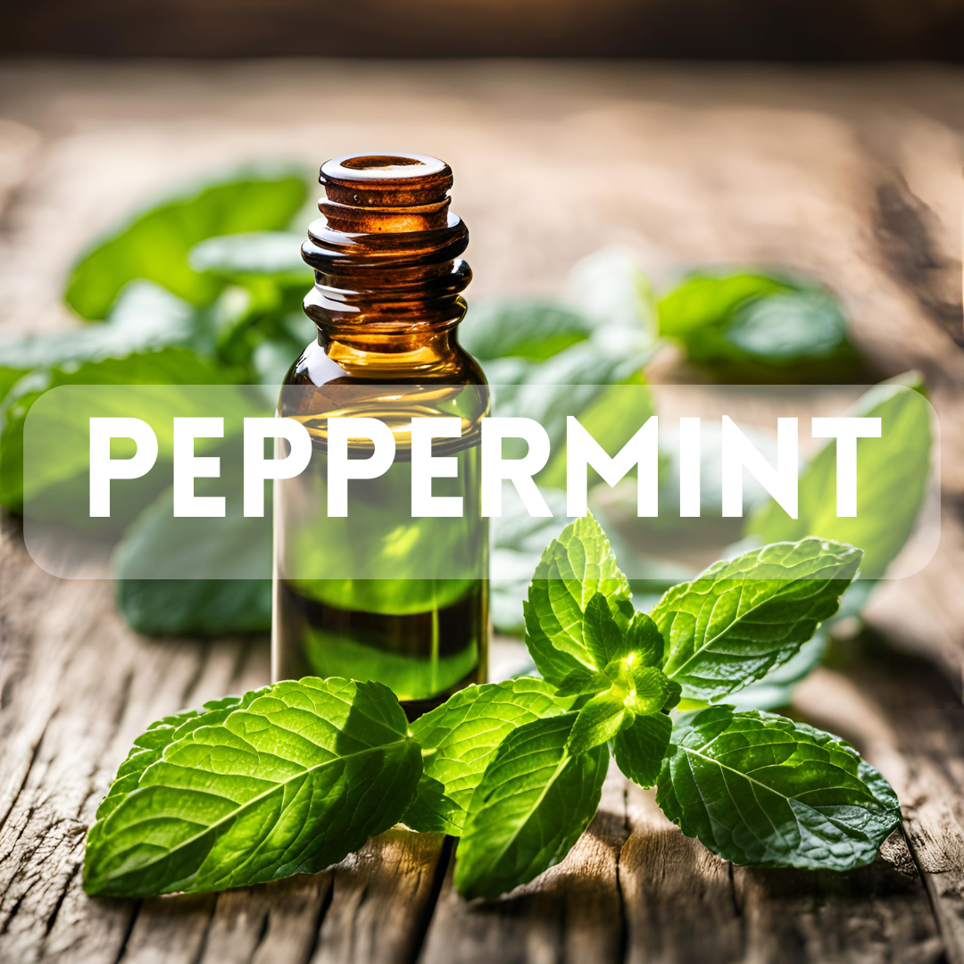 Peppermint - Essential Oil