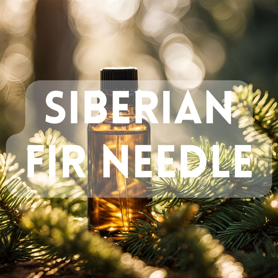 Siberian Fir Needle - Essential Oil