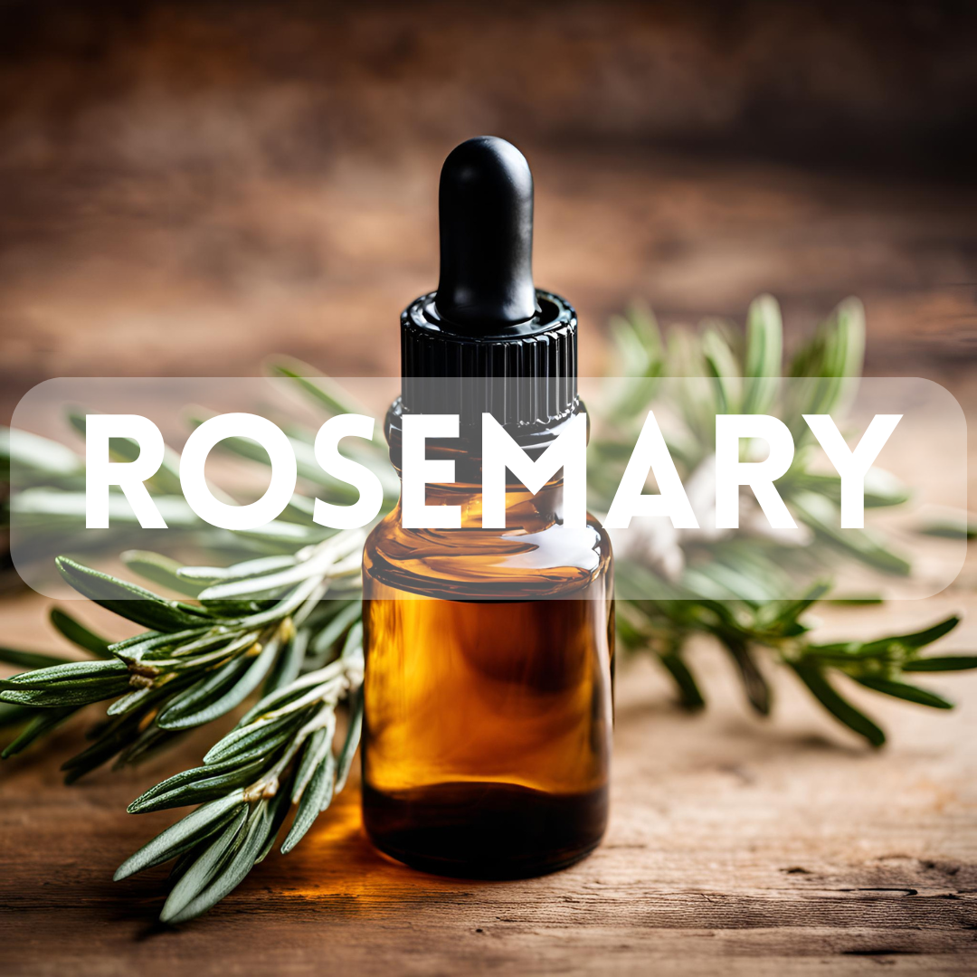 Rosemary - Essential Oil