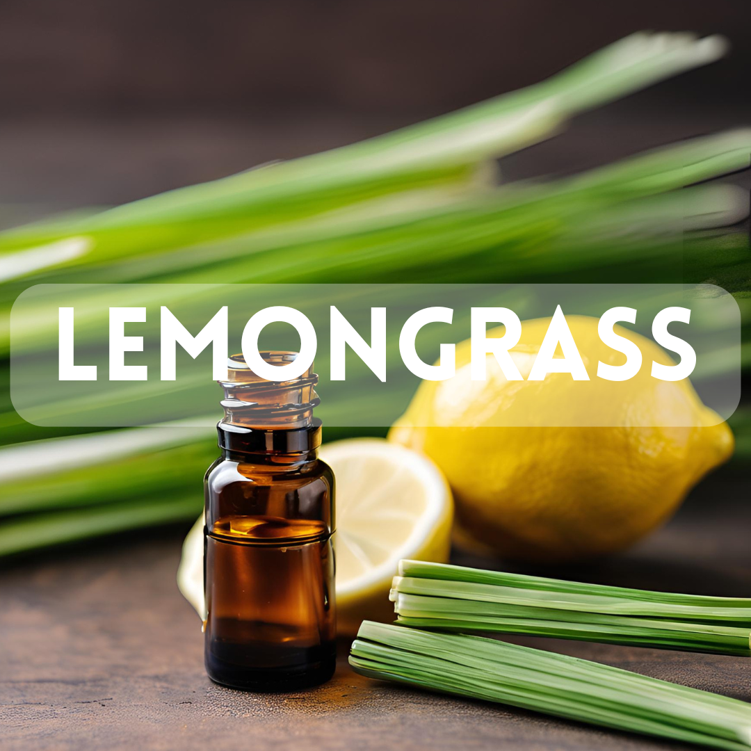 Lemongrass - Essential Oil