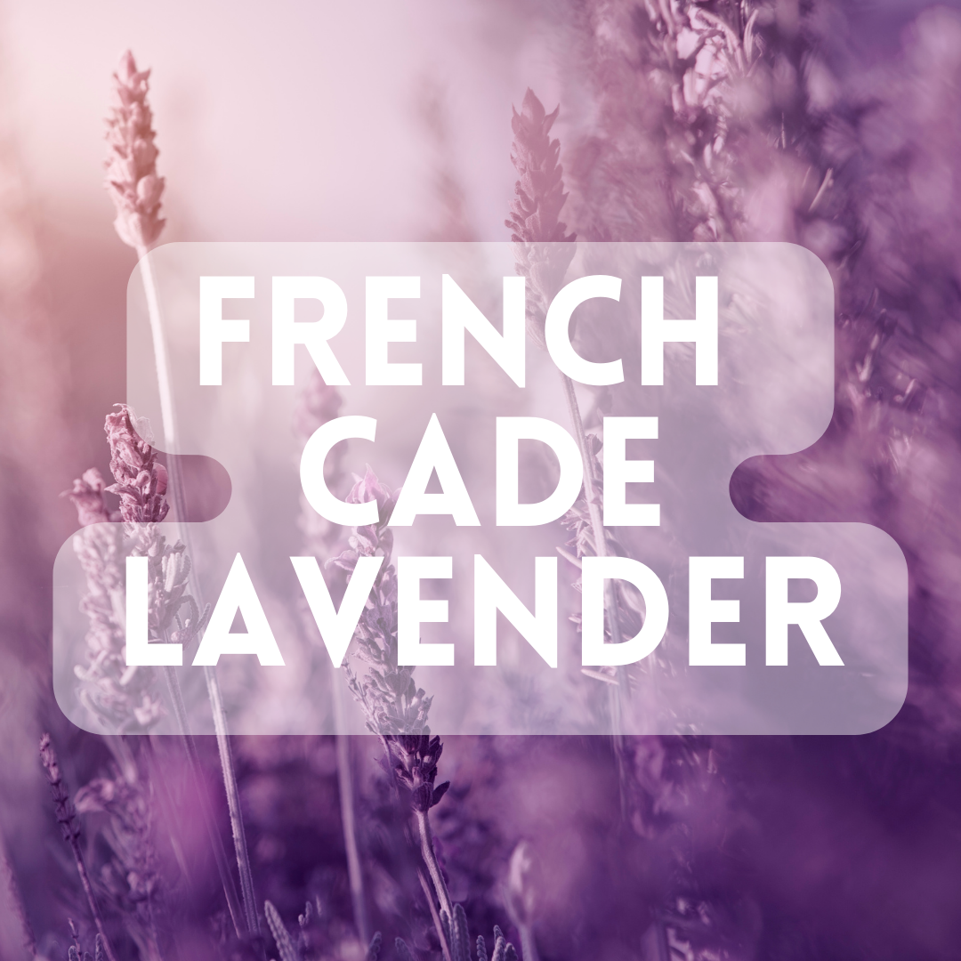 French Cade Lavender - Premium Fragrance Oil