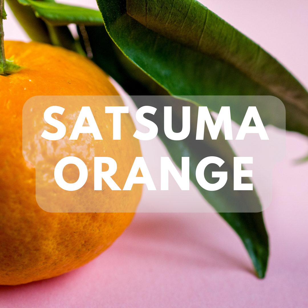 Satsuma Orange - Premium Fragrance Oil