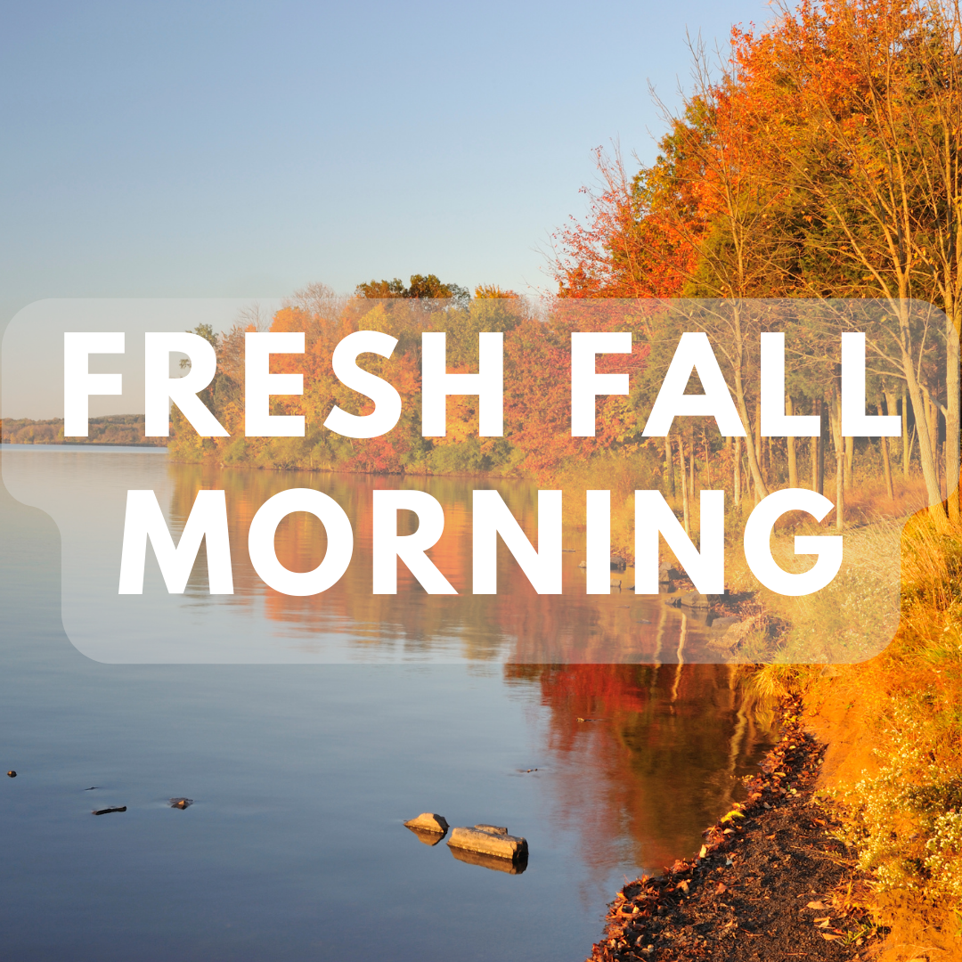 Fresh Fall Morning - Premium Fragrance Oil – Fizz Fairy Krazycolours Inc.