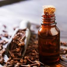 Clove Bud Essential Oil