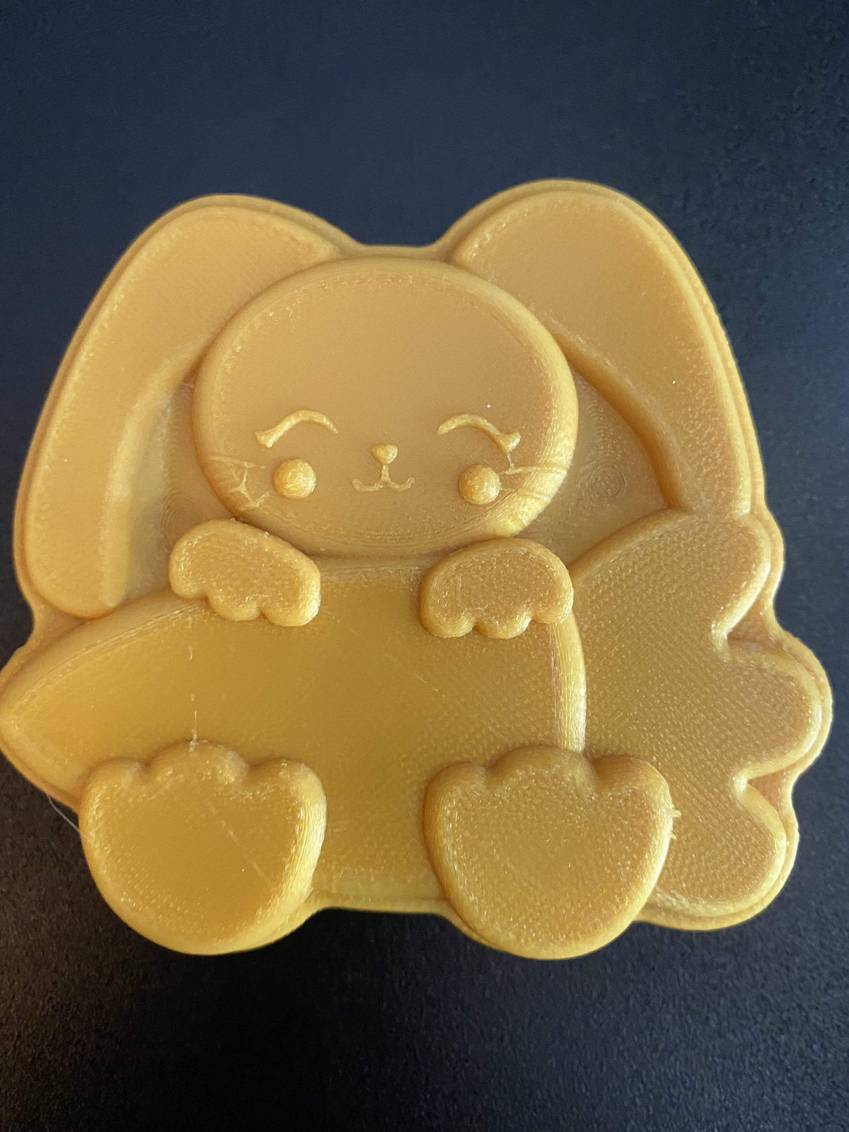 Bunny with Carrot Plastic Hand Mold