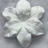 Lily Plastic Hand Mold